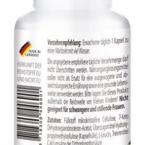 3x 7-Keto® DHEA 100mg 60 Kapseln - fairvital