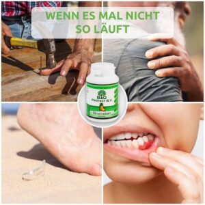 Bromelain mit 2000 GDU/ g / 4000 F.I.P./ g - 500 mg / 120 Kapseln Bio Protect