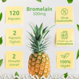 Bromelain mit 2000 GDU/ g / 4000 F.I.P./ g - 500 mg / 120 Kapseln Bio Protect