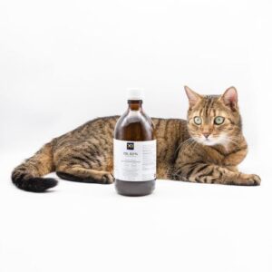 Entschlacken - Entgiften - Darmreinigung - Detox - Gesunder Darm - Abnehmen